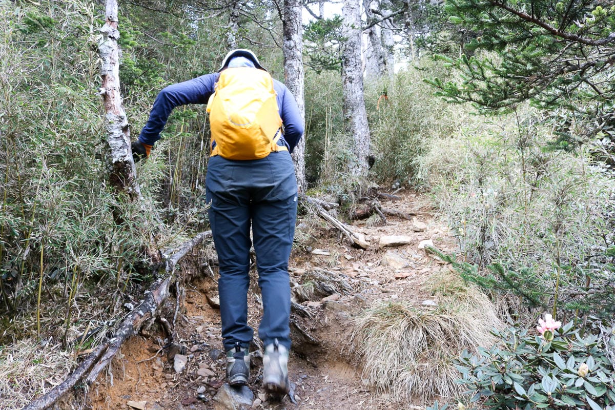 品田山V斷崖難不難？武陵四秀品田池有必經之路