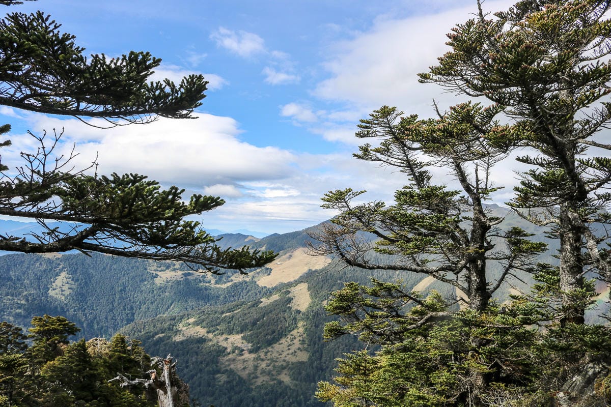 品田山V斷崖難不難？武陵四秀品田池有必經之路