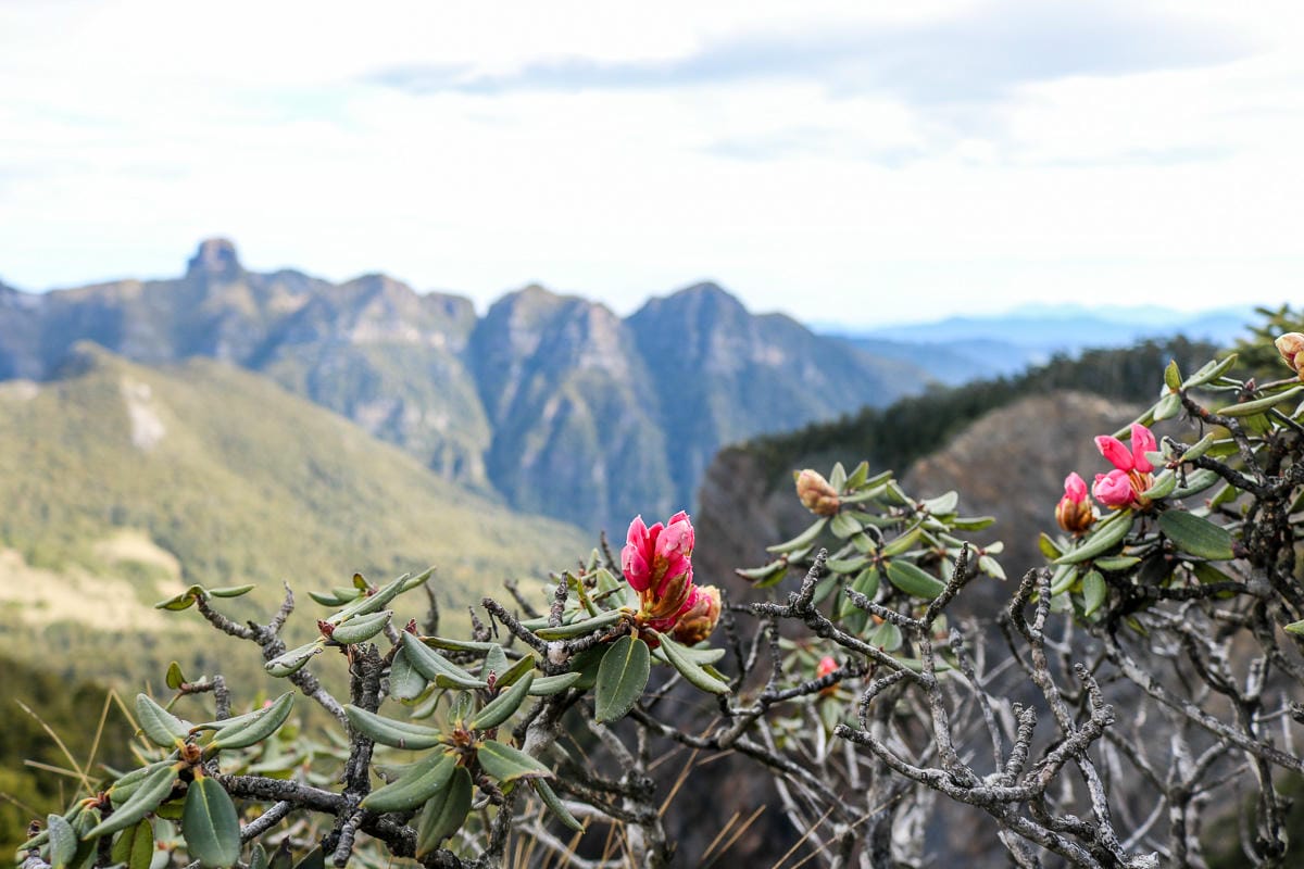 品田山V斷崖難不難？武陵四秀品田池有必經之路