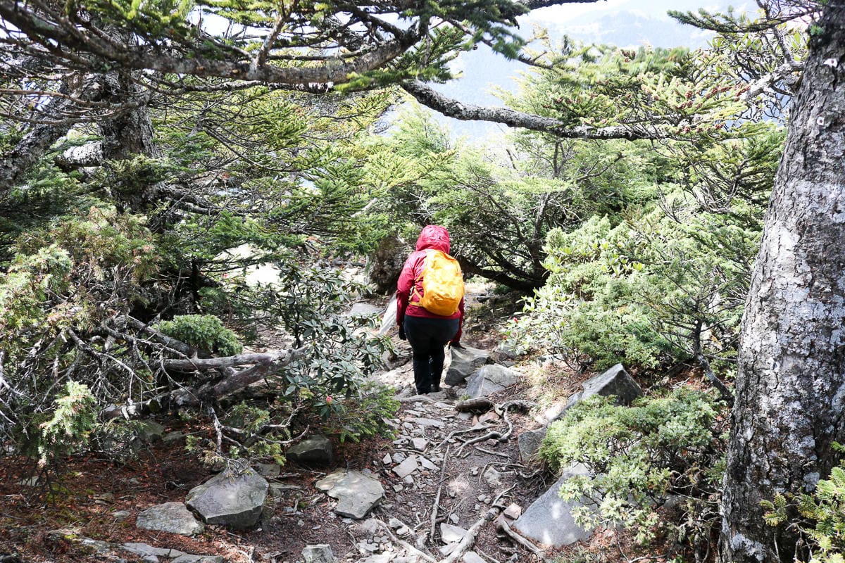 品田山V斷崖難不難？武陵四秀品田池有必經之路