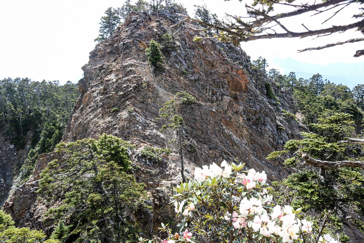 品田山V斷崖難不難？武陵四秀品田池有必經之路