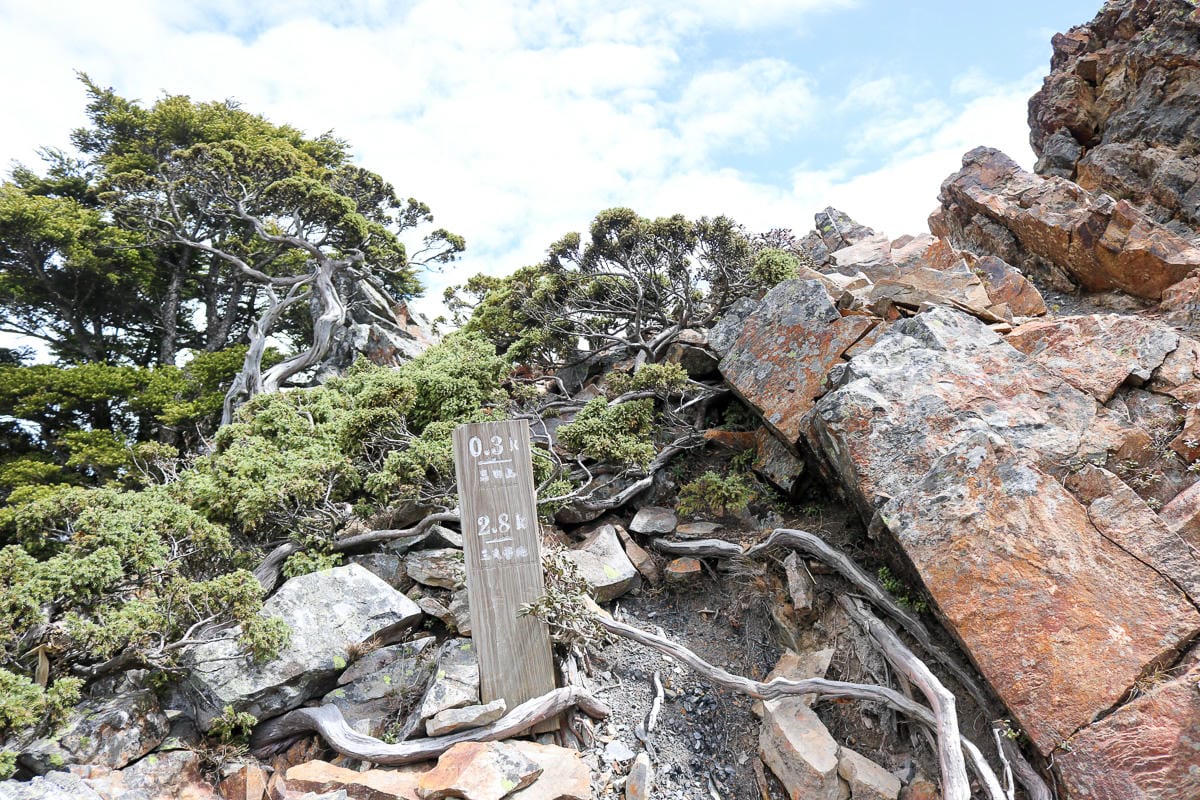 品田山V斷崖難不難？武陵四秀品田池有必經之路