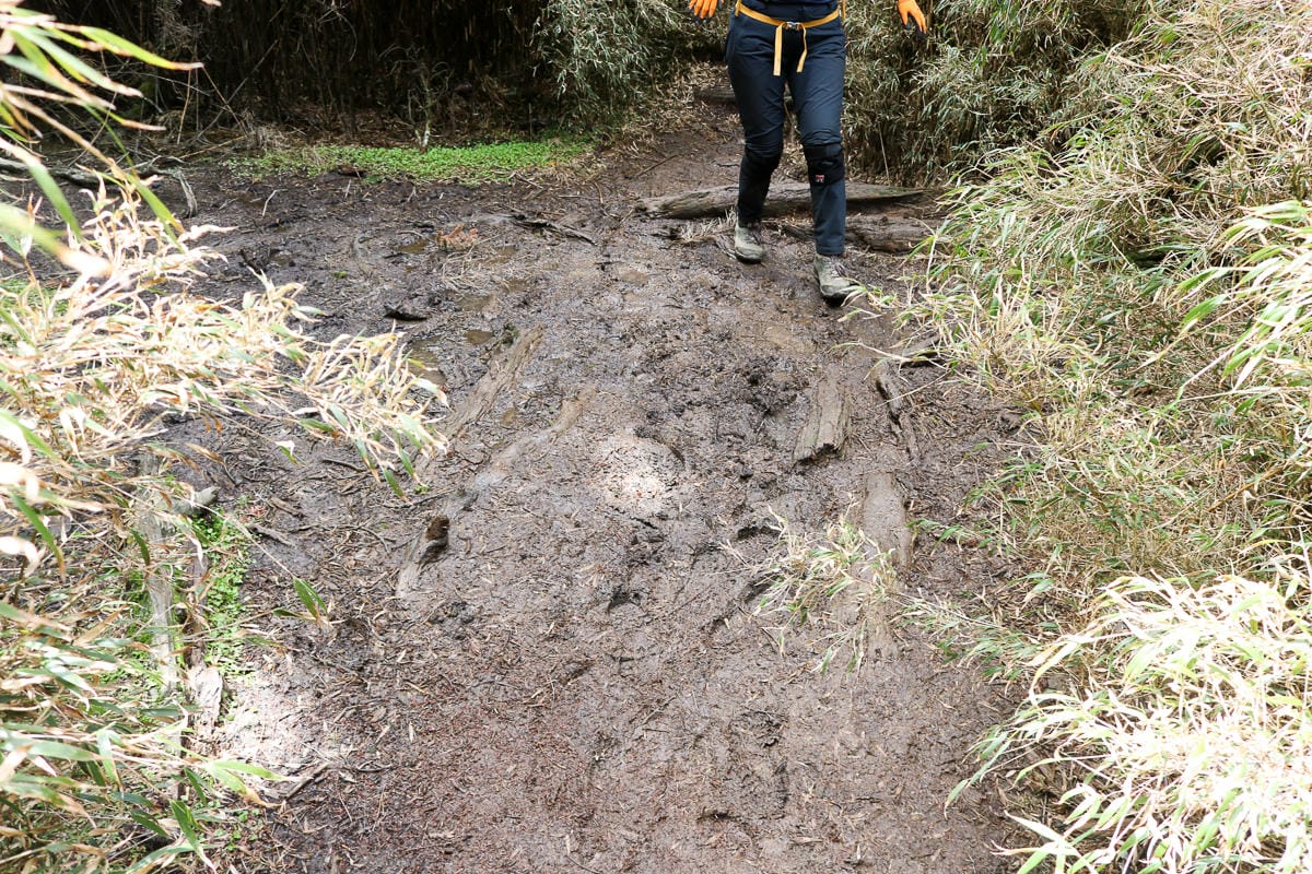 品田山V斷崖難不難？武陵四秀品田池有必經之路