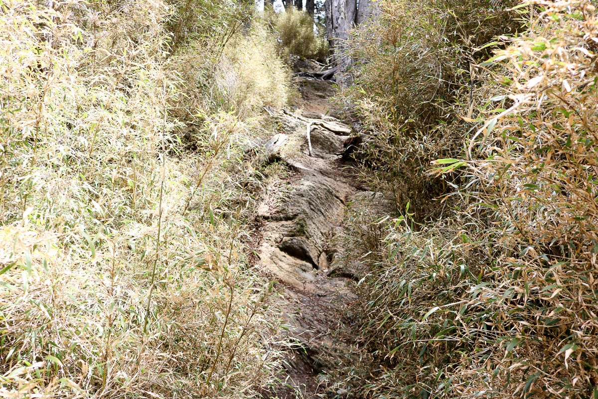 品田山V斷崖難不難？武陵四秀品田池有必經之路