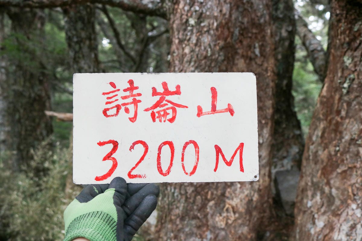 武陵四秀喀拉業山來回美翻 說鳥山其實一點也不鳥