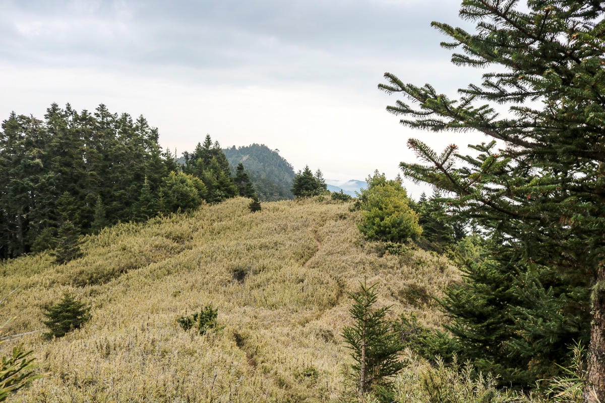 武陵四秀喀拉業山來回美翻 說鳥山其實一點也不鳥