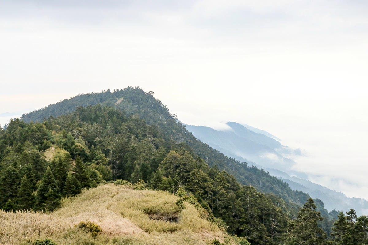武陵四秀喀拉業山來回美翻 說鳥山其實一點也不鳥
