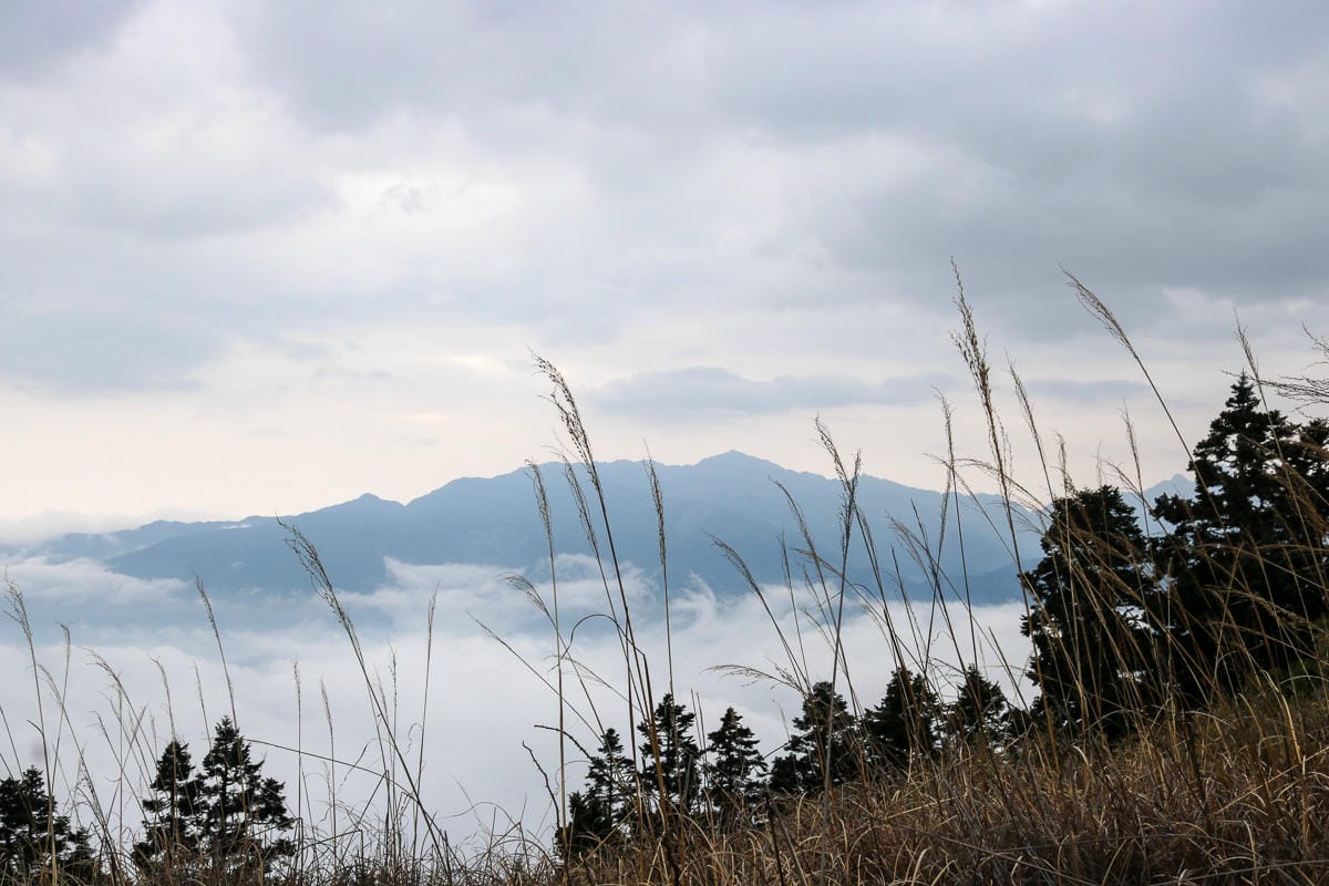 武陵四秀喀拉業山來回美翻 說鳥山其實一點也不鳥