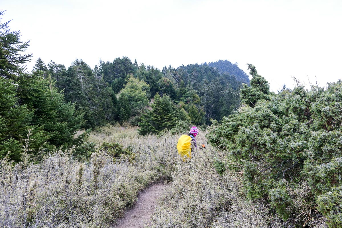 武陵四秀喀拉業山來回美翻 說鳥山其實一點也不鳥