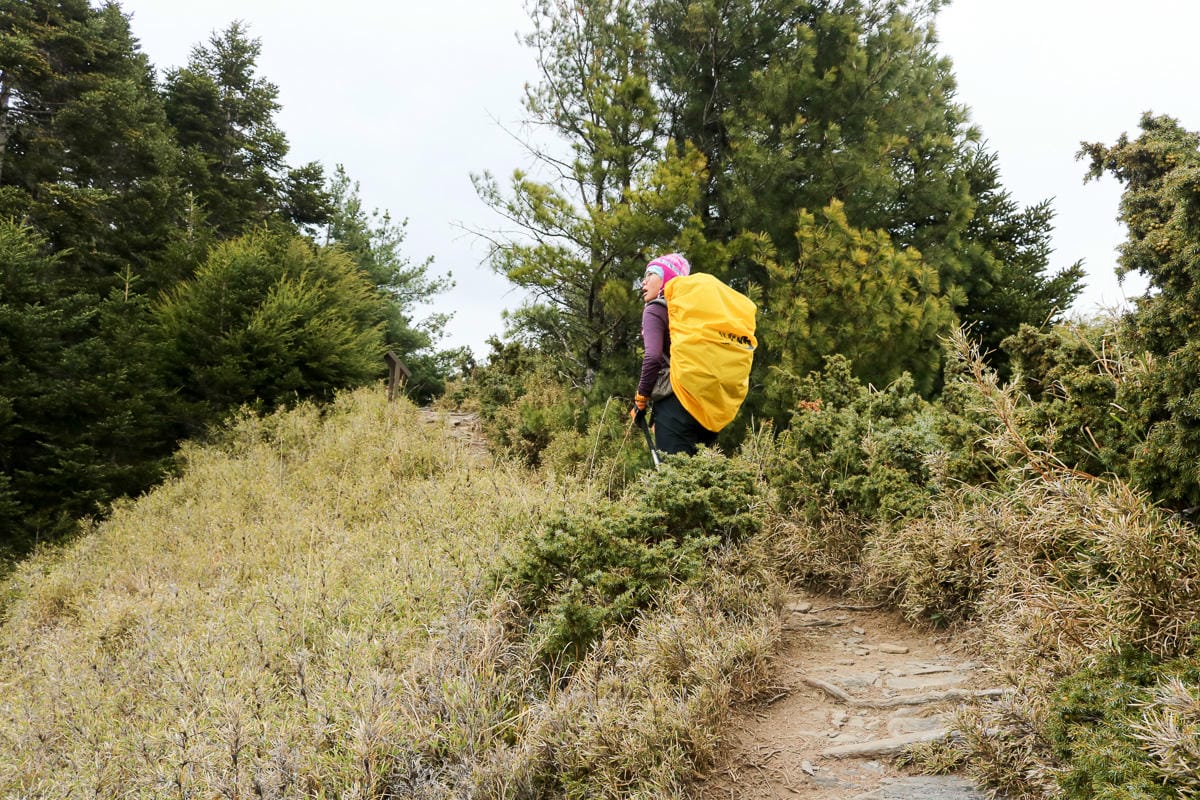 武陵四秀喀拉業山來回美翻 說鳥山其實一點也不鳥