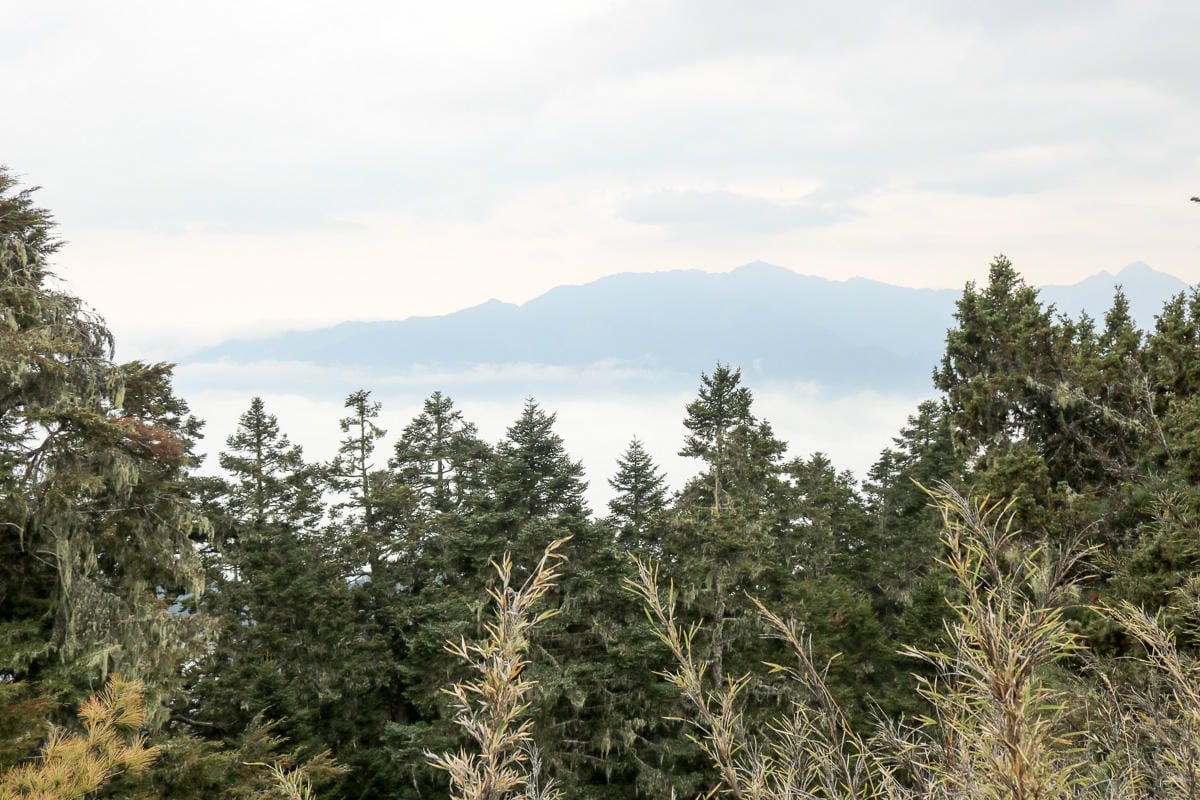 武陵四秀喀拉業山來回美翻 說鳥山其實一點也不鳥