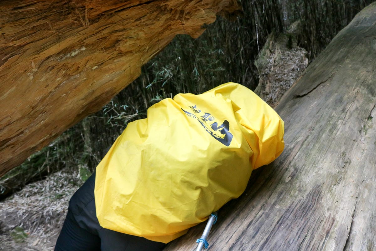 武陵四秀喀拉業山來回美翻 說鳥山其實一點也不鳥