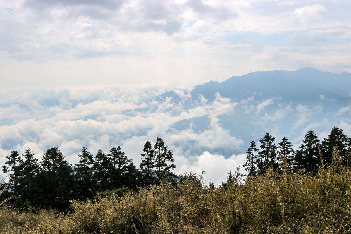 武陵四秀喀拉業山來回美翻 說鳥山其實一點也不鳥