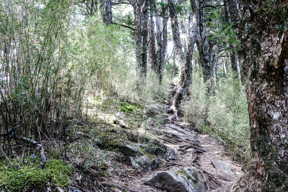 武陵四秀喀拉業山來回美翻 說鳥山其實一點也不鳥
