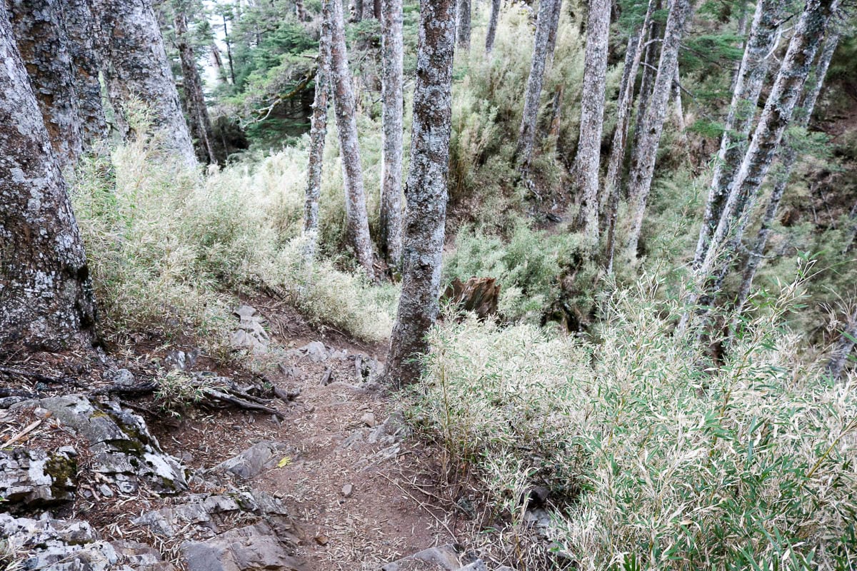 武陵四秀喀拉業山來回美翻 說鳥山其實一點也不鳥
