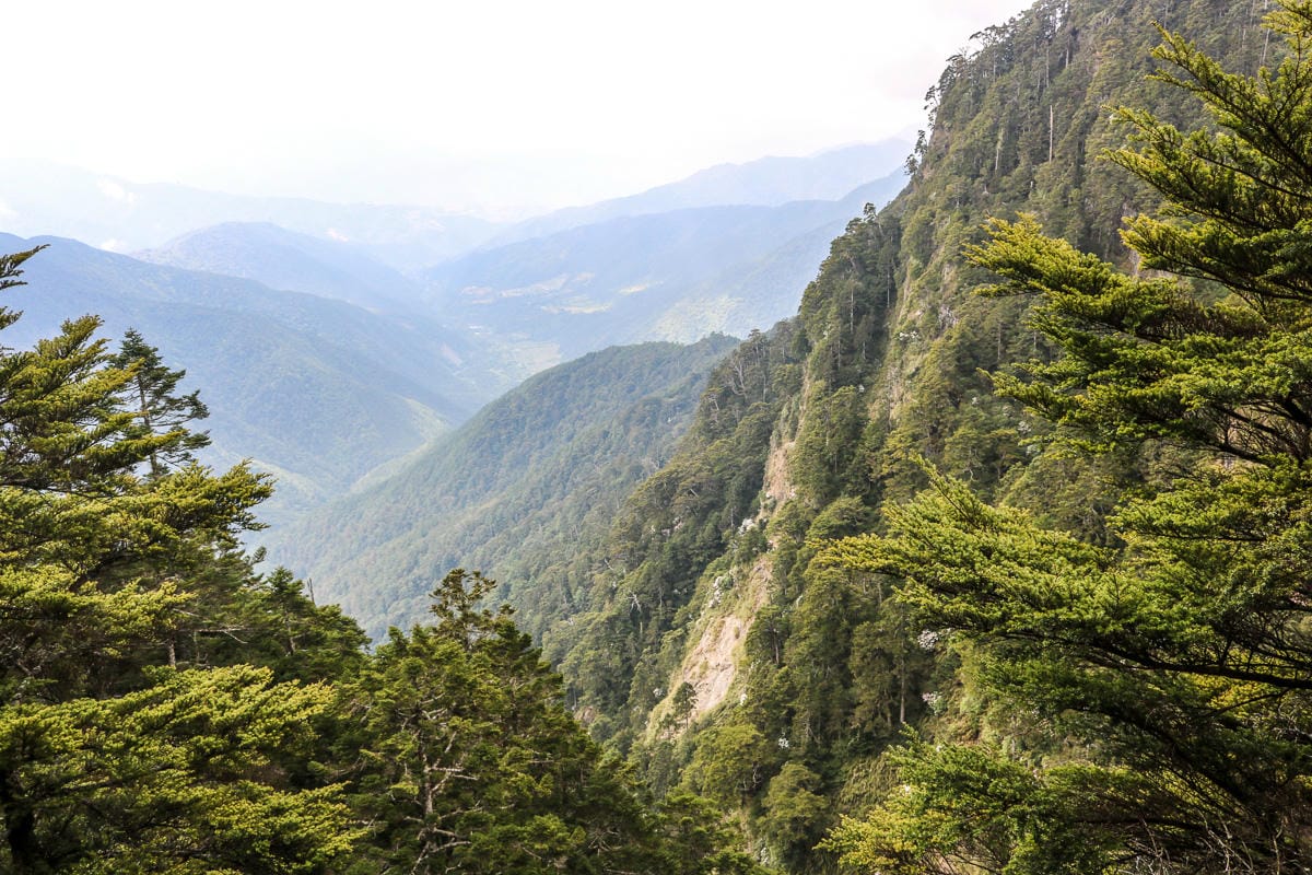 武陵四秀喀拉業山來回美翻 說鳥山其實一點也不鳥