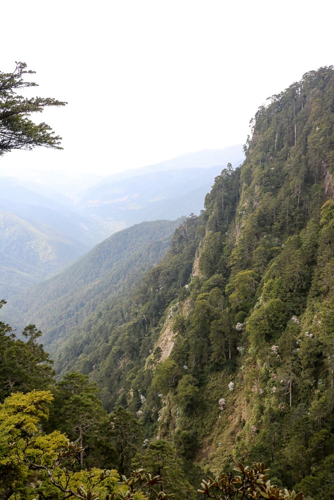 武陵四秀喀拉業山來回美翻 說鳥山其實一點也不鳥