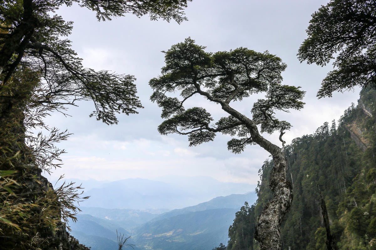 武陵四秀喀拉業山來回美翻 說鳥山其實一點也不鳥