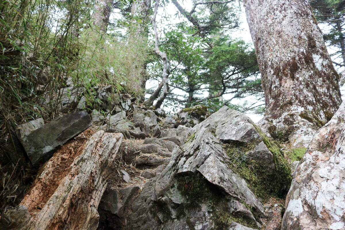 武陵四秀喀拉業山來回美翻 說鳥山其實一點也不鳥