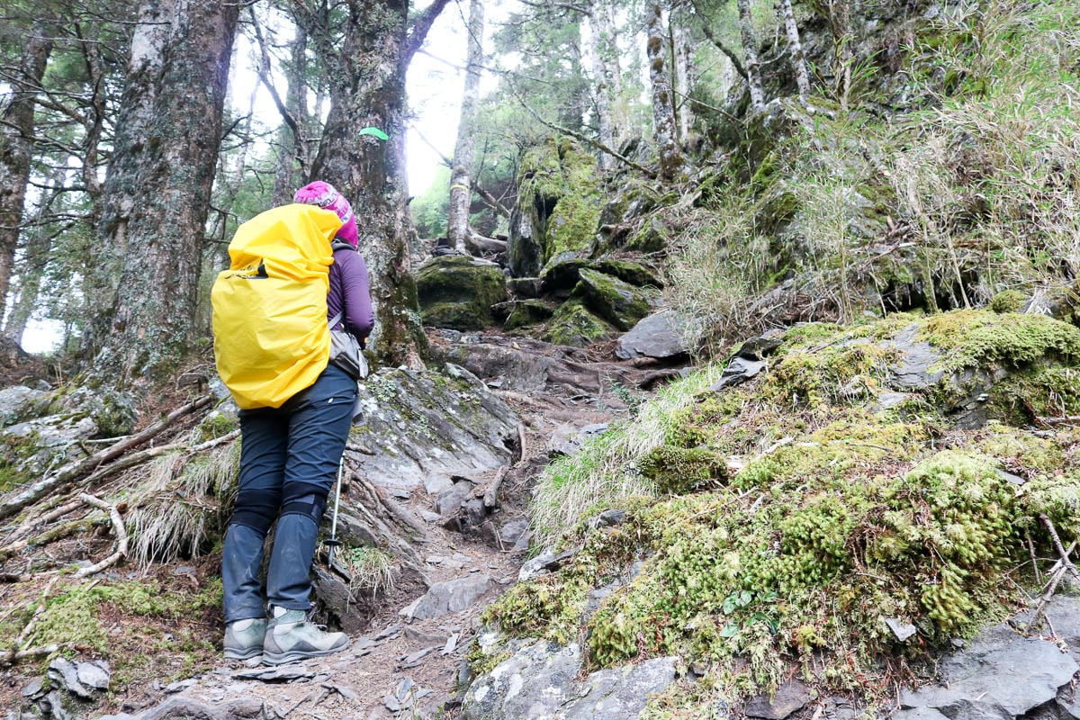 武陵四秀喀拉業山來回美翻 說鳥山其實一點也不鳥
