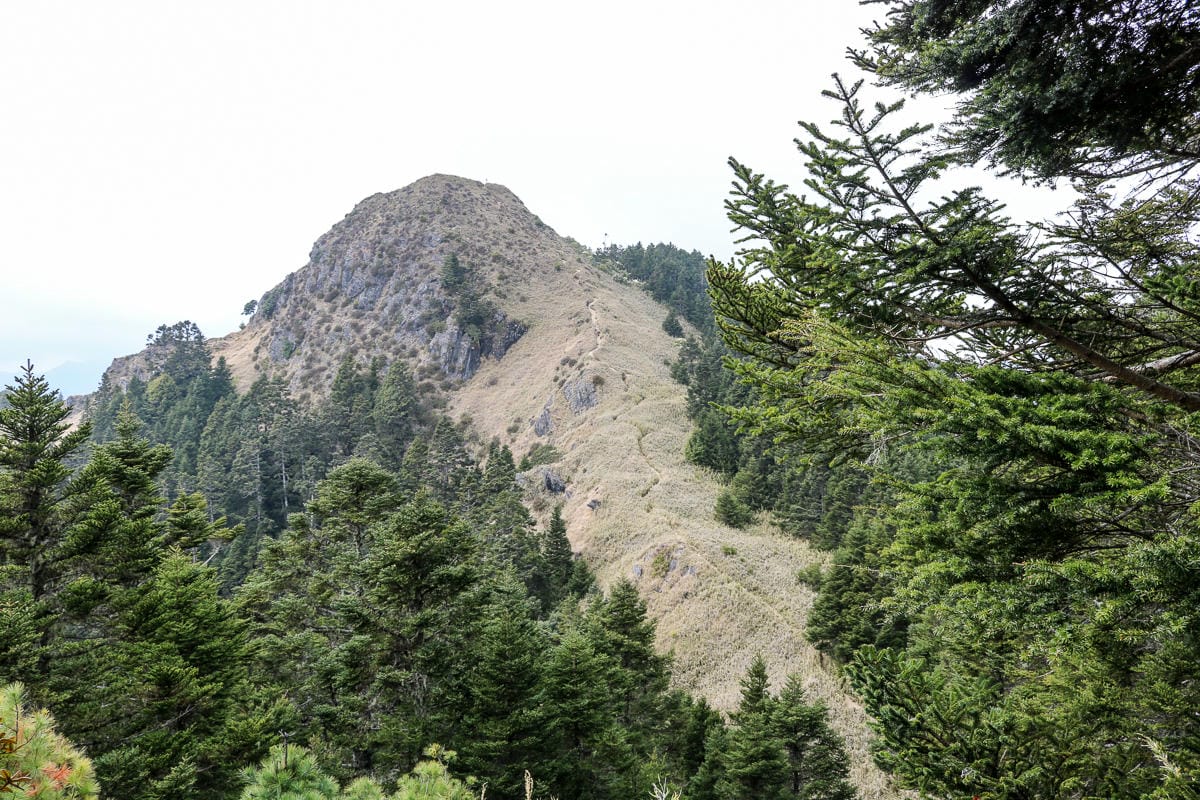 武陵四秀喀拉業山來回美翻 說鳥山其實一點也不鳥