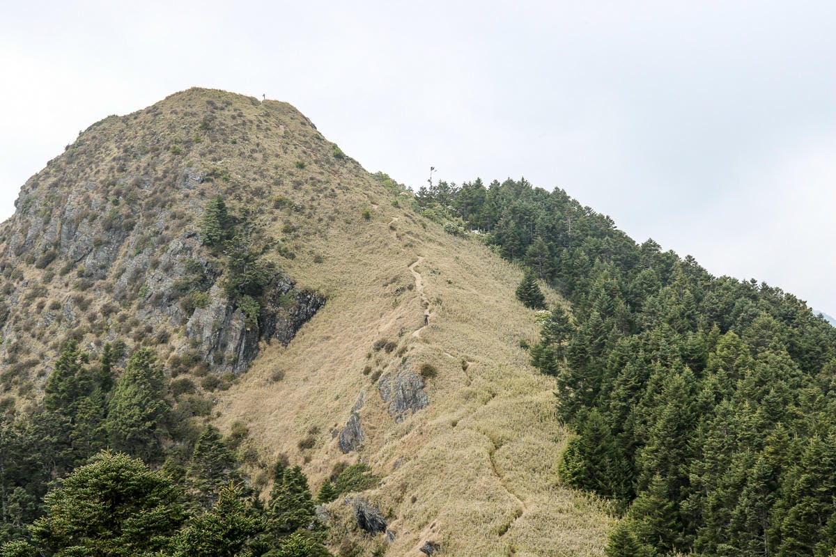 武陵四秀喀拉業山來回美翻 說鳥山其實一點也不鳥