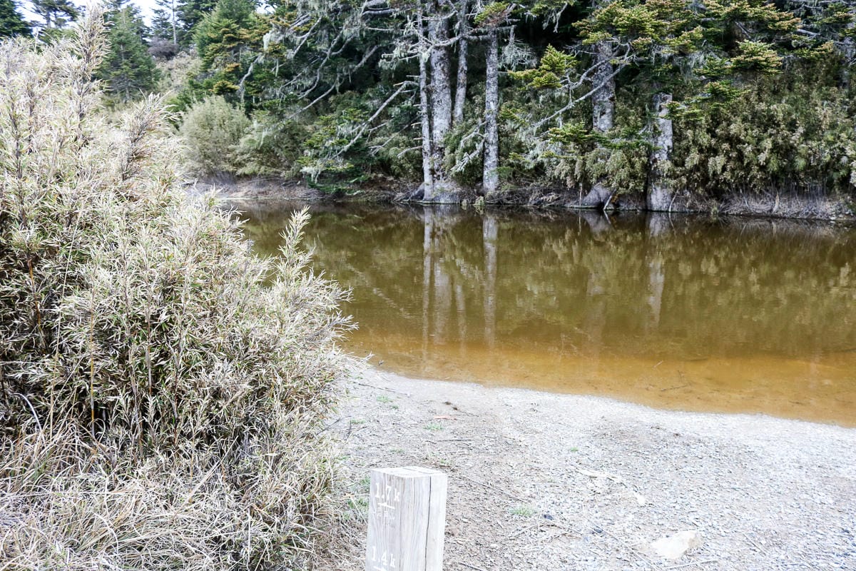 品田池有重裝第三天 武陵四秀走好走滿