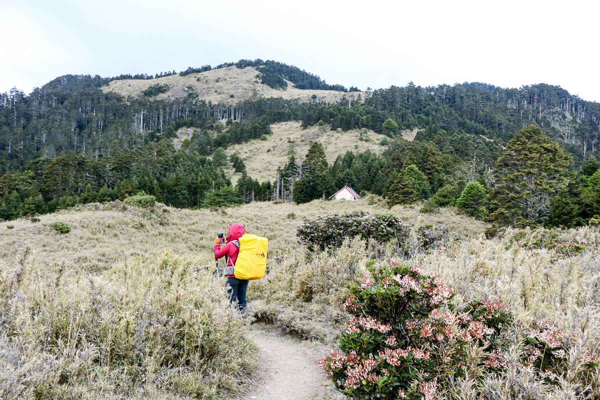 品田池有重裝第三天 武陵四秀走好走滿