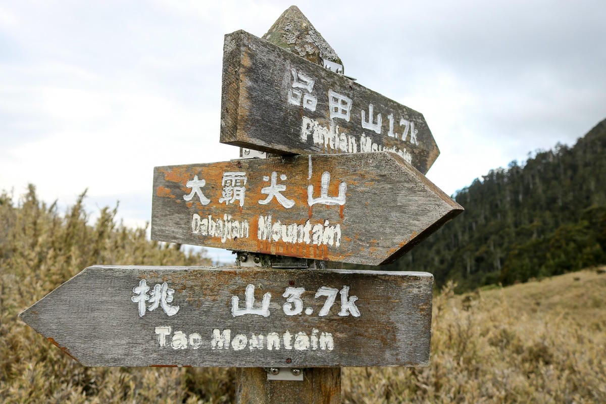 品田池有重裝第三天 武陵四秀走好走滿