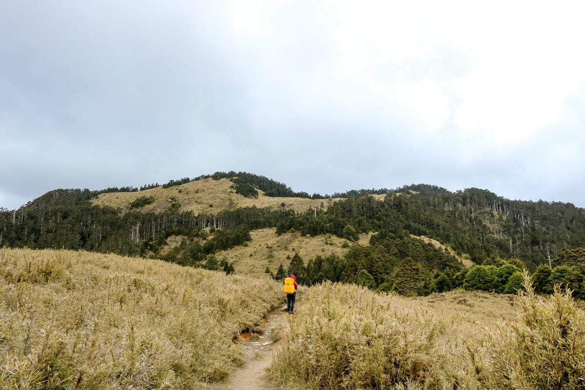 品田池有重裝第三天 武陵四秀走好走滿