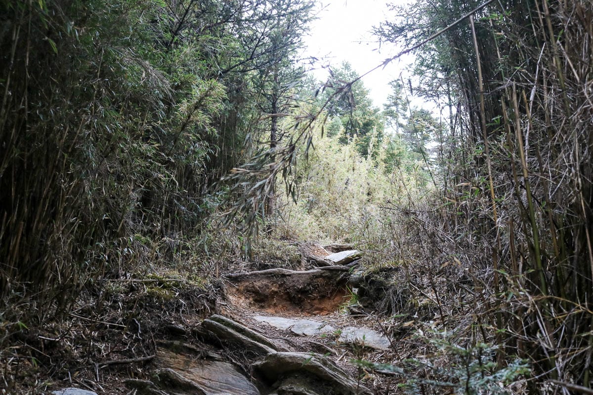 品田池有重裝第三天 武陵四秀走好走滿
