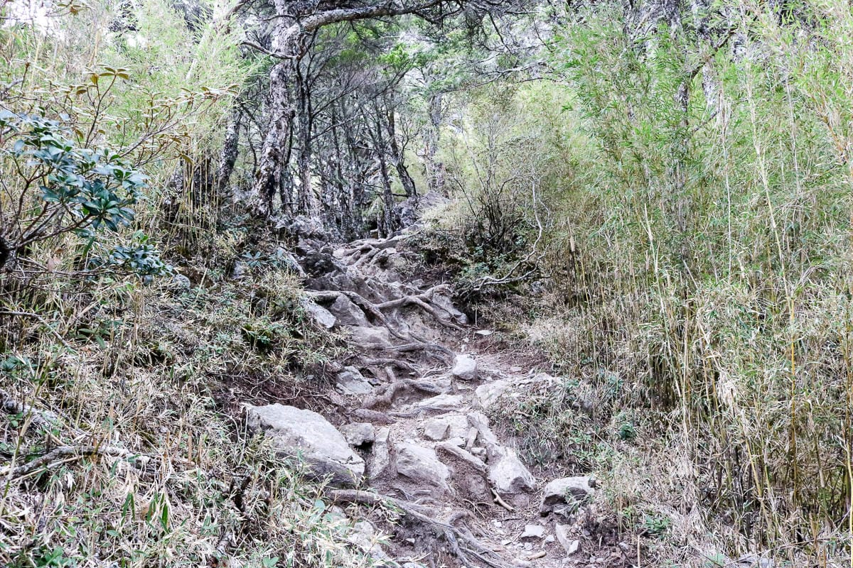 品田池有重裝第三天 武陵四秀走好走滿