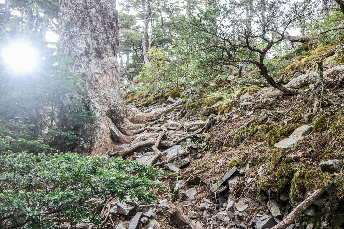 品田池有重裝第三天 武陵四秀走好走滿