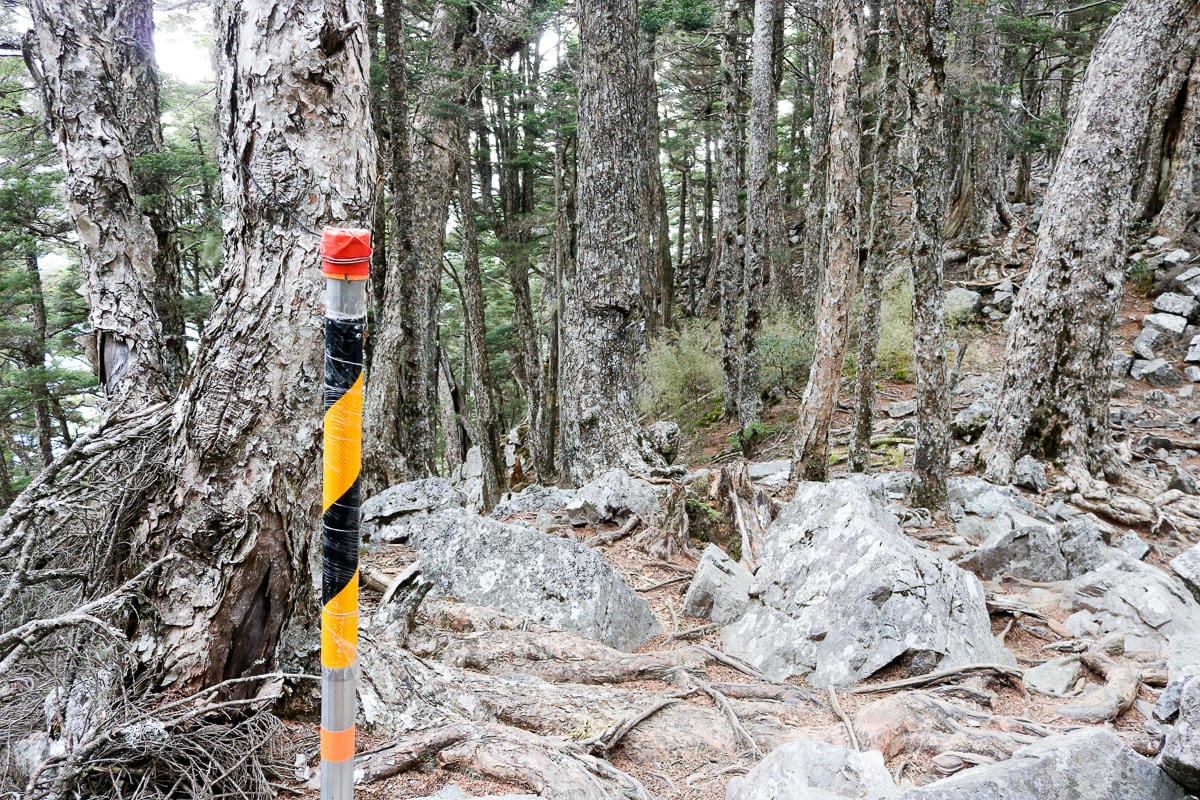品田池有重裝第三天 武陵四秀走好走滿