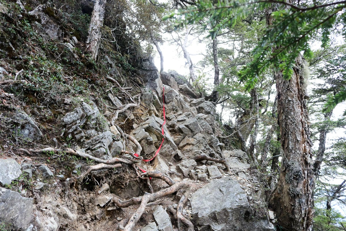 品田池有重裝第三天 武陵四秀走好走滿