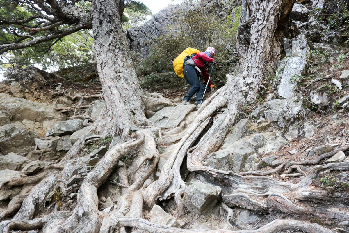 品田池有重裝第三天 武陵四秀走好走滿