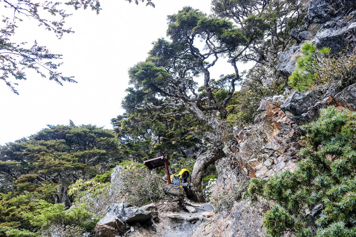 品田池有重裝第三天 武陵四秀走好走滿