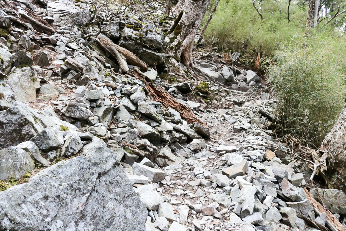 品田池有重裝第三天 武陵四秀走好走滿