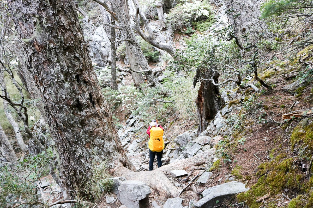 品田池有重裝第三天 武陵四秀走好走滿
