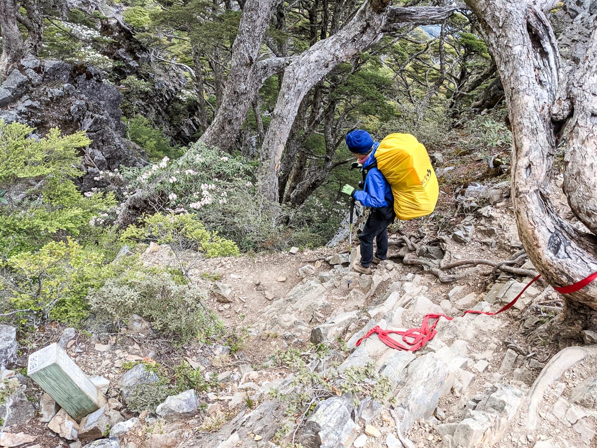 品田池有重裝第三天 武陵四秀走好走滿