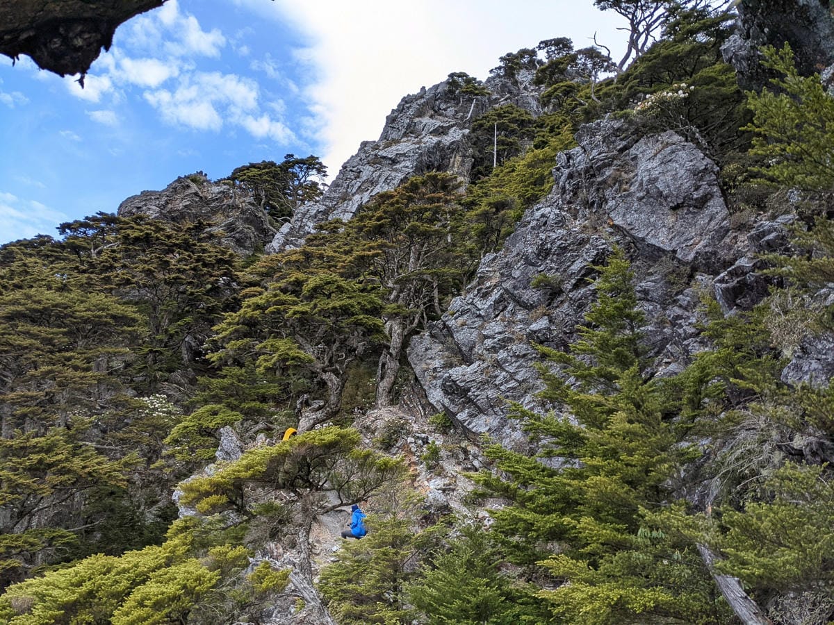 品田池有重裝第三天 武陵四秀走好走滿