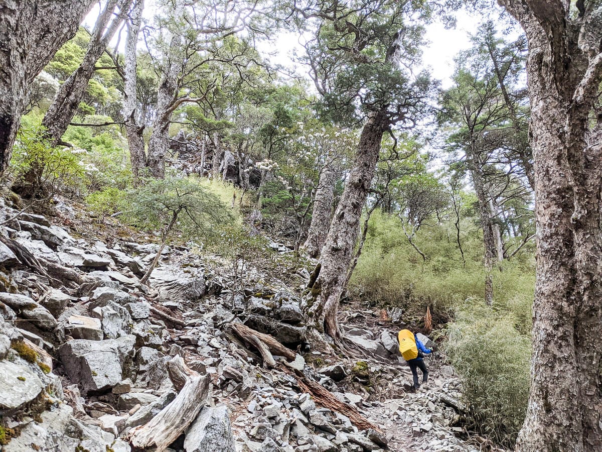 品田池有重裝第三天 武陵四秀走好走滿