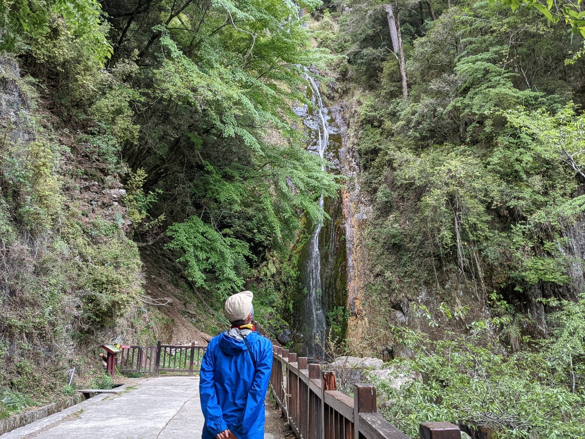 品田池有重裝第三天 武陵四秀走好走滿