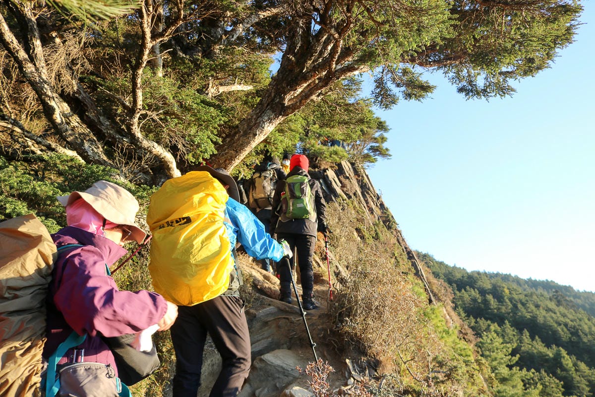 合歡北峰縱看中央山脈雪山山脈 杜鵑花季這樣美