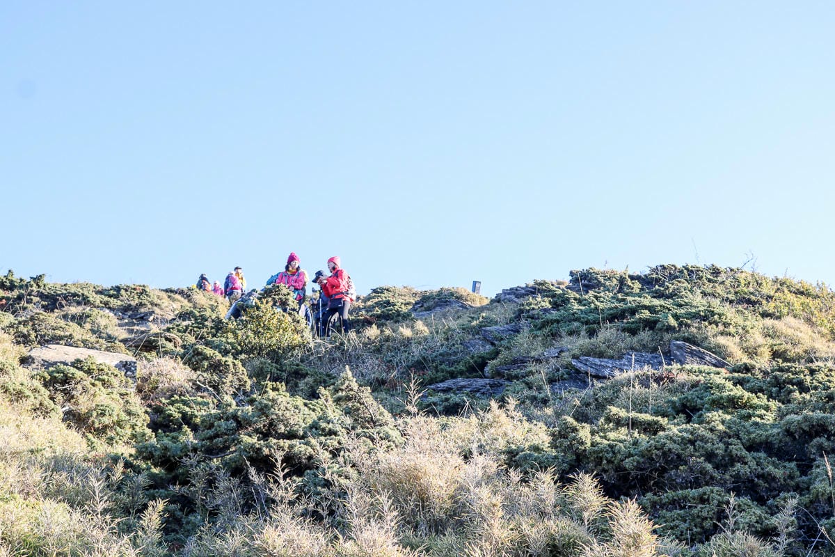 合歡北峰縱看中央山脈雪山山脈 杜鵑花季這樣美