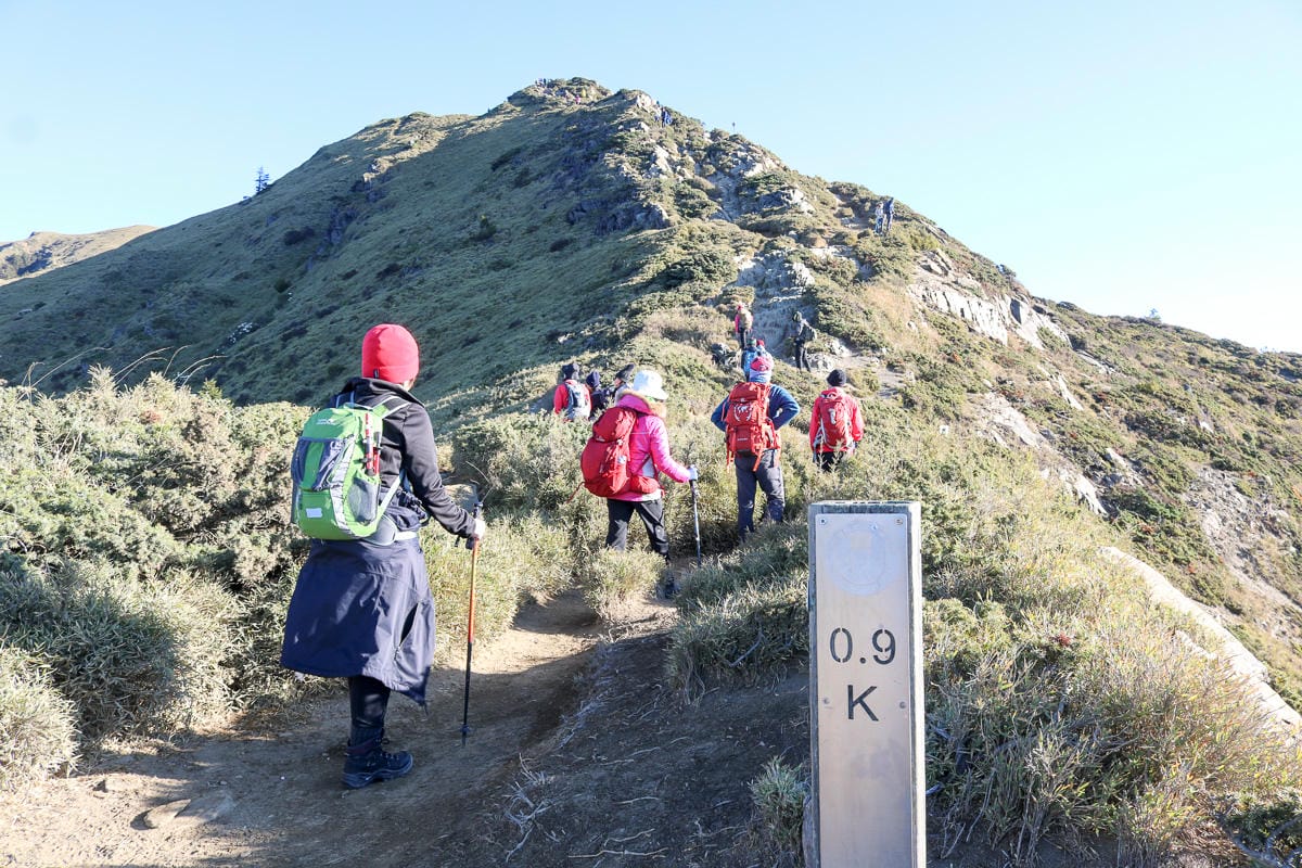 合歡北峰縱看中央山脈雪山山脈 杜鵑花季這樣美
