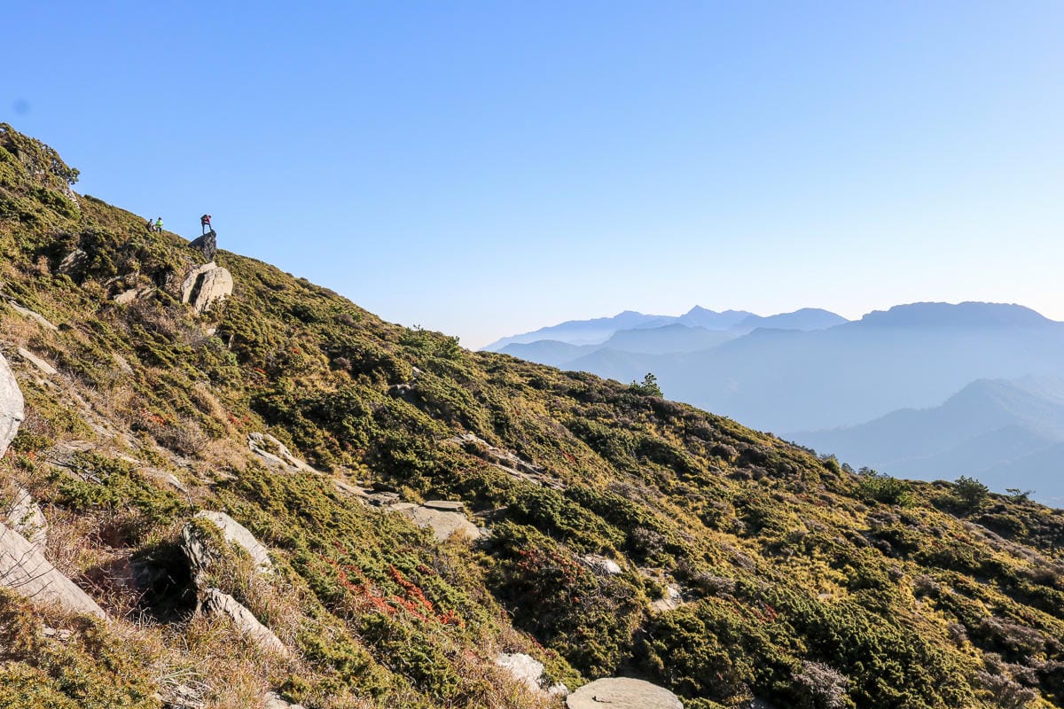 合歡北峰縱看中央山脈雪山山脈 杜鵑花季這樣美
