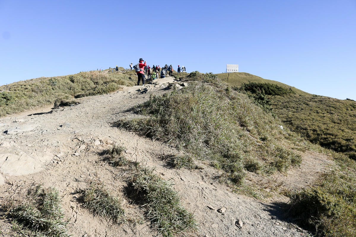 合歡北峰縱看中央山脈雪山山脈 杜鵑花季這樣美