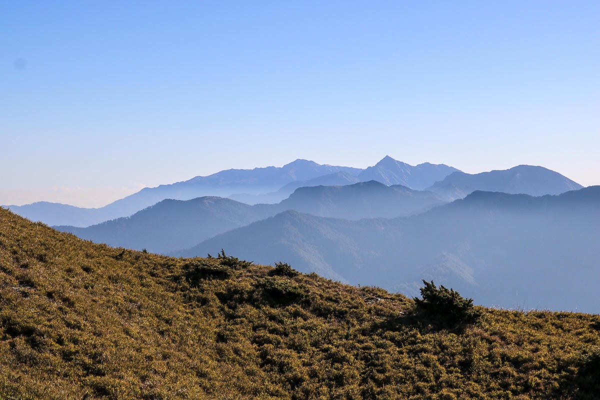 合歡北峰縱看中央山脈雪山山脈 杜鵑花季這樣美