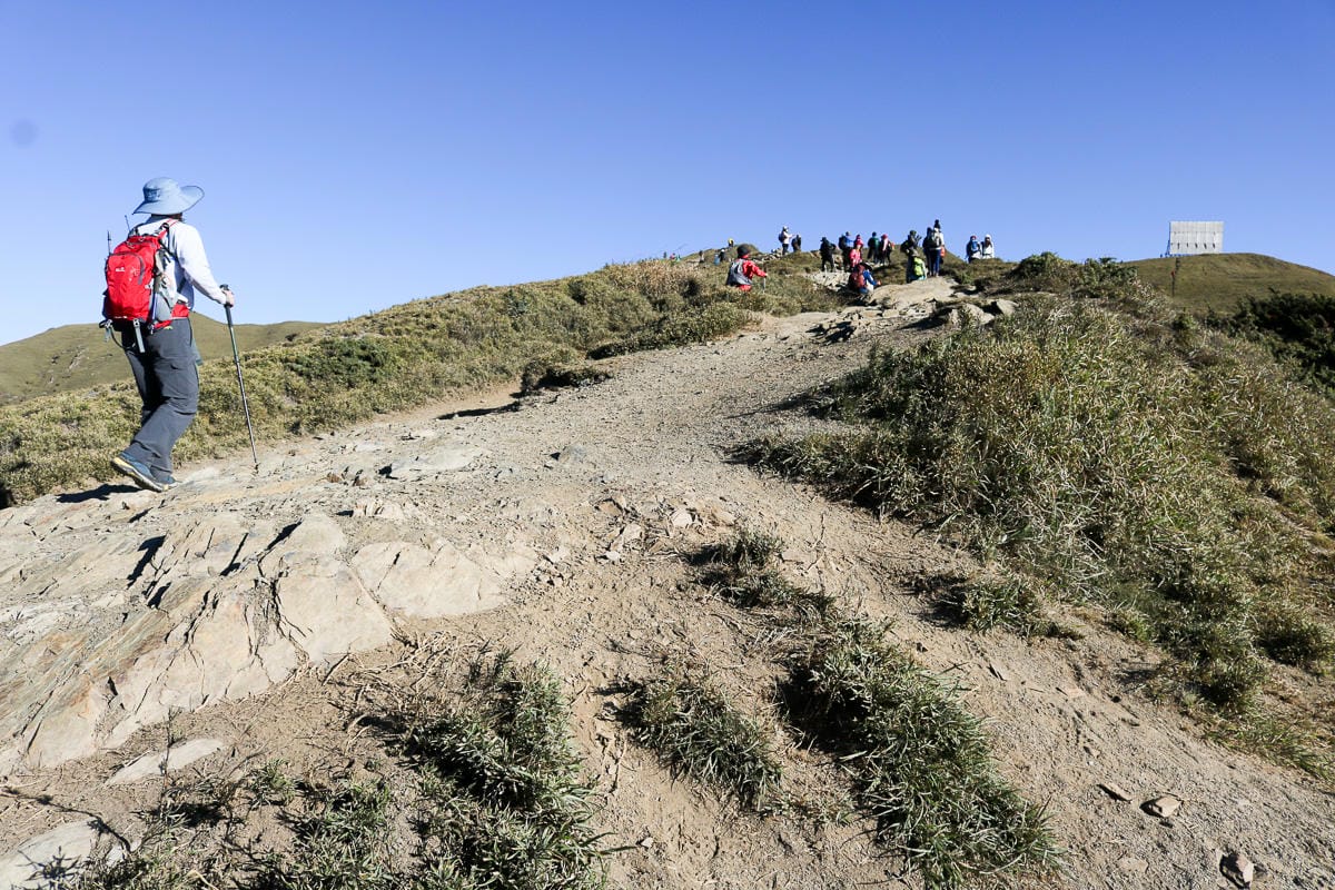 合歡北峰縱看中央山脈雪山山脈 杜鵑花季這樣美